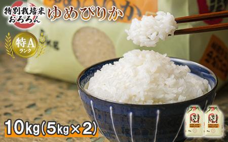 【令和5年産】北海道羽幌産　特別栽培米ゆめぴりか10kg（5kg×2セット）【08123】