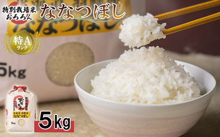 【令和5年産】北海道羽幌産　特別栽培米ななつぼし5kg【08119】