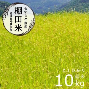棚田米10kg 精米 コシヒカリ 特別栽培米 7割削減 京都産