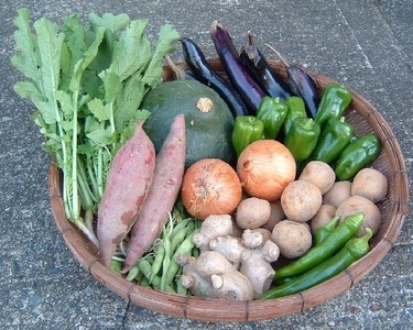「エコの環」野菜の詰め合わせ