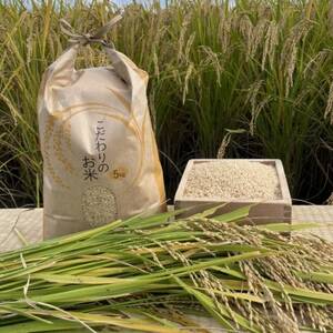 循環農法で育てたヒノヒカリ　玄米5キロ　栽培期間中農薬・化学肥料不使用　【1458355】