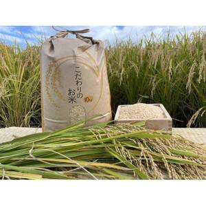 循環農法で育てたヒノヒカリ　玄米10キロ　栽培期間中農薬・化学肥料不使用　【1458356】