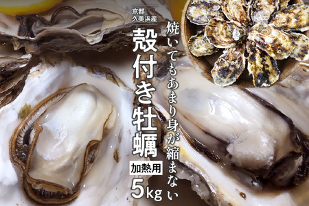 京都・久美浜産　殻付き牡蠣　5kg（50個前後）【加熱用】牡蠣ナイフ付