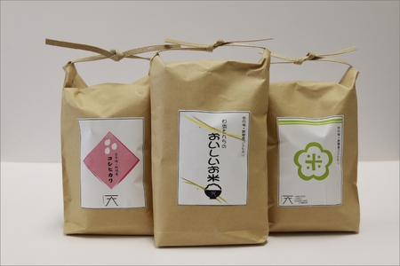 京丹後・野間産　田渕さんちのおいしいお米 個包装 2合×6袋入