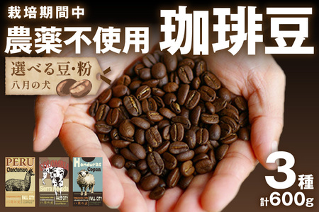 【栽培期自家焙煎コーヒー豆　お試しセット（200gx3種）八月の犬　珈琲豆　ドリップ　飲み比べ　ブホペ コーヒー 珈琲 お試しコーヒー コーヒー飲み比べ コーヒーセット コーヒータイム コーヒーギフト ホットコーヒー こだわりコーヒー コーヒー 挽きたてコーヒー 自家焙煎コーヒー 人気コーヒー 大人気コーヒー 自家焙煎コーヒー豆 コーヒー豆ギフト コーヒー詰め合わせ お試しコーヒー豆 飲み比べコーヒー豆 コーヒー豆詰め合わせ 人気コーヒー豆 大人気コーヒー豆 自家焙煎珈琲豆 お試し珈琲豆 飲み比べ珈琲豆 珈琲豆詰め合わせ 人気珈琲豆 大人気珈琲豆