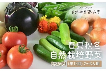 自然栽培野菜セット（年12回）2~3人用　定期便　月1回×12ヵ月