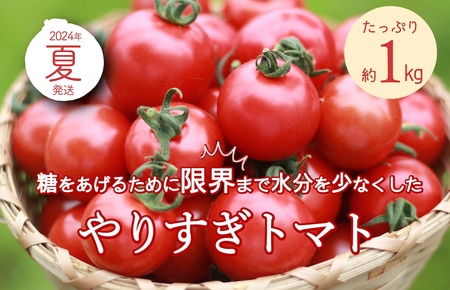 トマト農家のこだわり高糖度トマト「やりすぎトマト」【先行予約】やりすぎトマト（4パック計約1kg）（夏季）（2024年6月中旬以降発送）トマトスープやトマト料理に