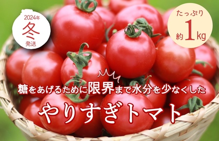 トマト農家のこだわり高糖度トマト「やりすぎトマト」【先行予約】やりすぎトマト（4パック計約1kg）（冬季）（2024年12月上旬以降発送）　トマトスープやトマト料理に