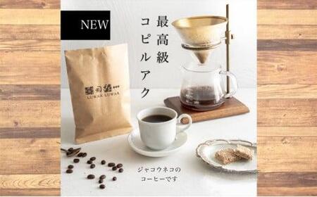 最高級コーヒー コピルアク 100g【粗挽き（ネルドリップ）】