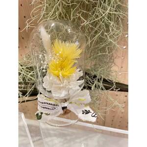 【黄色系】天球bottle flowers　Msize【1307788】