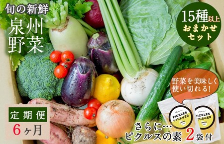 旬の新鮮 野菜セット（15種以上）定期便 全6回 おまかせ ピクルスの素付き ファミリー向け【毎月配送コース】