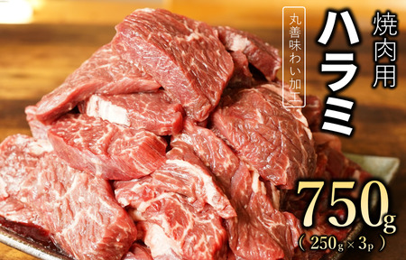 【丸善味わい加工】牛肉 ハラミ 750g（250g×3）