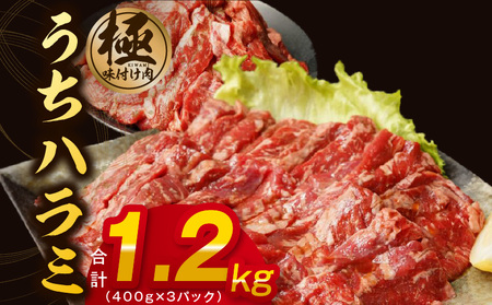 【丸善特製ダレ】希少部位 牛肉 うちハラミ 1.2kg（400g×3）
