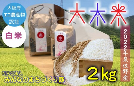 日本遺産の棚田景観で育てた大木米（白米）2kg