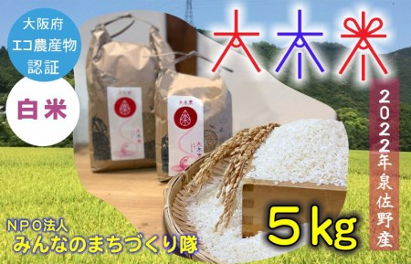 日本遺産の棚田景観で育てた大木米（白米）5kg