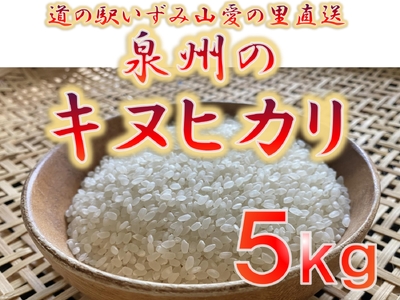 大阪府和泉市の農家さんが心を込めて作ったキヌヒカリ　一袋５kg。道の駅で大好評。道の駅からつきたてのお米をお届けします。（FJ018-SJ）