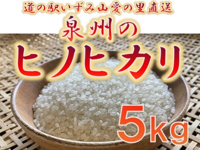 大阪府和泉市の農家さんが心を込めて作ったヒノヒカリ　一袋５kg。道の駅で大好評。道の駅からつきたてのお米をお届けします。（FJ019-SJ）