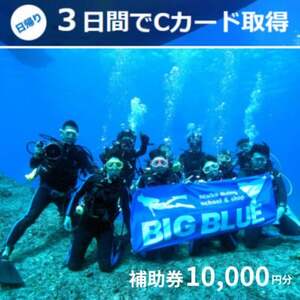 BIG BLUE　スキューバダイビング　PADI(Cカードライセンス) 免許取得補助券10,000円【1491812】