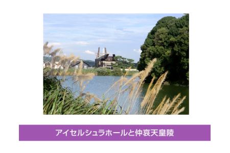 No.034 ガイドと巡るウォーク「藤井寺歴史探訪コース」