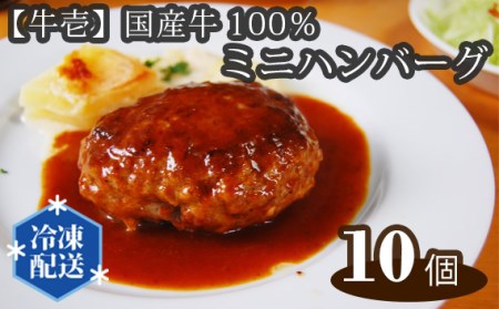 No.198 【牛壱】国産牛100％ミニハンバーグ10個　75ｇ×10個