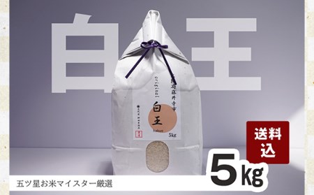 No.210 桝田米穀のお米　白王（HAKUO）5kg