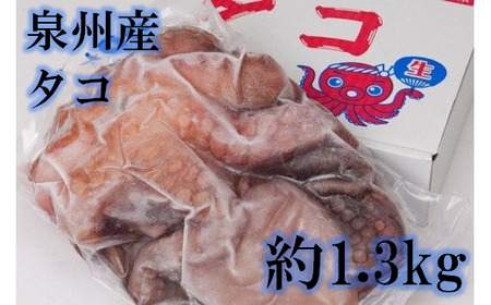 大阪産 泉タコ (生たこ) 1.3kg