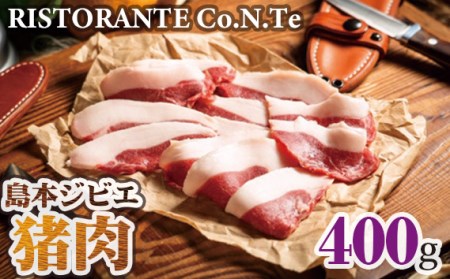 No.038 島本ジビエ「猪肉」約400g
