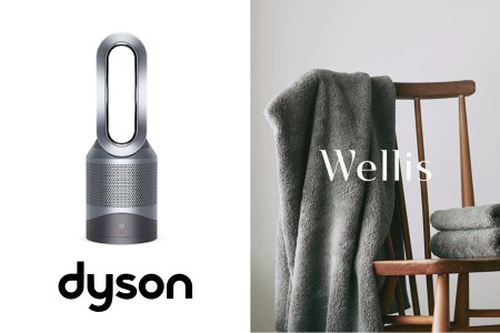 Wellis×Dyson　 Wellis　Dyson Pure Hot + Cool™ 空気清浄機能付ファンヒーター アイアン／シルバーHP00 IS N　BK1　F2　(009_923)