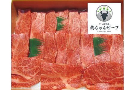 No.101 ワールド牧場　梅ちゃんビーフ　黒毛和牛　焼肉用肉　約450g