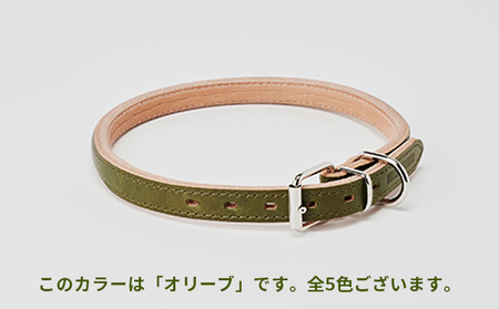 good collar 7号［犬 猫 首輪］ ヤナギ
