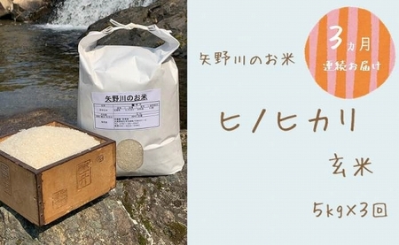 【定期便・全3回】矢野川のお米　ヒノヒカリ玄米5kgｘ3回