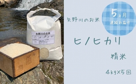 【定期便・全5回】矢野川のお米　ヒノヒカリ精米4kgｘ5回