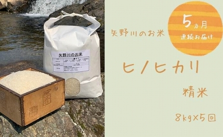 【定期便・全5回】矢野川のお米　ヒノヒカリ精米8kgｘ5回