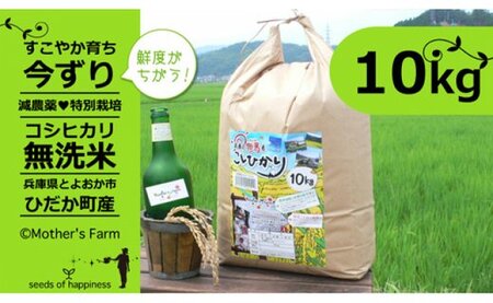 お米 10kg（白米）今ずり・無洗米 コシヒカリ 兵庫県但馬産