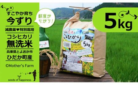 お米 5kg（白米）今ずり・無洗米 コシヒカリ 兵庫県但馬産