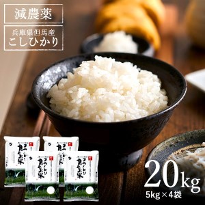 【令和5年産】コウノトリ育むお米減農薬【5kg×4袋】（94-004）