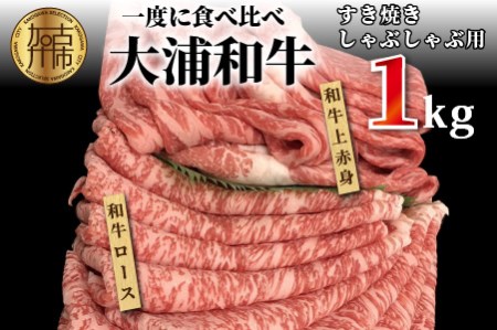 大浦和牛すきやき・しゃぶセット(1kg)