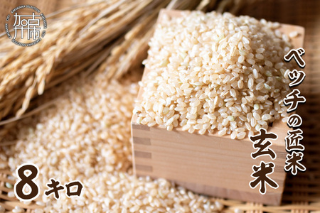 【緑肥作物へアリーベッチ】ベッチの匠米(玄米)8kg《 玄米 8kg お米 玄米 安心 安全 米 おこめ 国産 送料無料 》