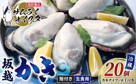 牡蠣 生食 坂越かき 殻付き28個 牡蠣ナイフ・軍手付き サムライオイスター 生牡蠣 冬牡蠣