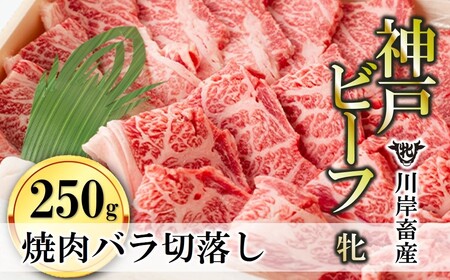 【神戸牛 牝】バラ焼肉切落し:250g 川岸畜産 (15-36)【冷凍】