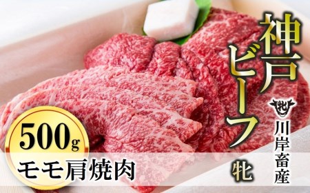 【神戸牛 牝】モモ肩焼肉用:500g 川岸畜産 (22-20)【冷凍】