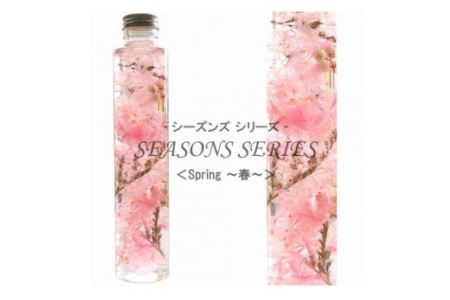 No.014-01 四季のハーバリウム～ SEASONS SERIES ～ Spring（春）