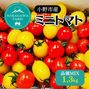 ミニトマト 品種 MIX 1.3kg[ トマト 有機質肥料 ]