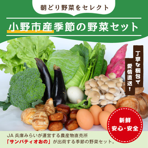 小野市産季節の野菜セット！