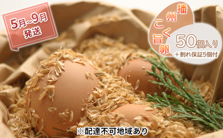 卵 『播州こく旨卵』50個入り＋割れ保証5個付【5月～9月発送】