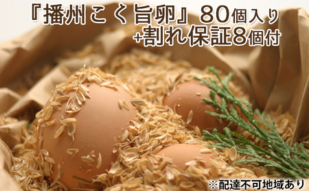 卵 『播州こく旨卵』80個入り＋割れ保証8個付【5月～9月発送】