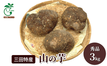 三田特産 山の芋　秀品3kg