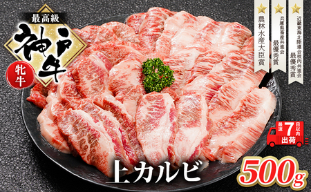  神戸ビーフ 神戸牛 牝 上カルビ 焼肉 500g 川岸畜産 冷凍 肉 牛肉 すぐ届く 小分け