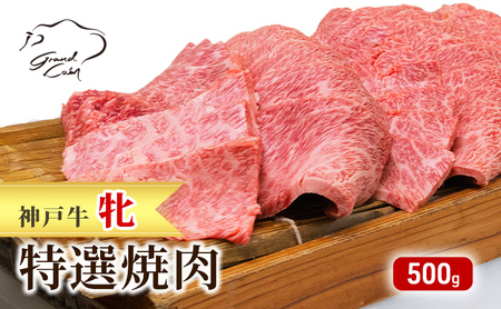 【最短7日以内発送】 神戸ビーフ 神戸牛 牝 特選焼肉 500g 川岸畜産 冷凍 肉 牛肉 すぐ届く