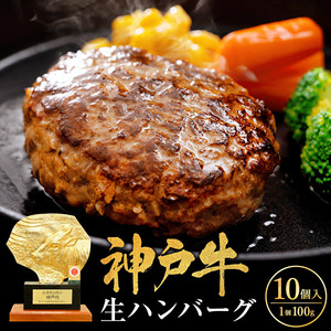 神戸牛 ハンバーグ 100g×10個  神戸ビーフ 国産 普段使い 肉 牛肉 セット 冷凍 小分け 帝神志方